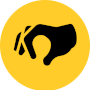 Nonprofit Result Oriented Decisions